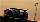 Alex Wurz feiert Triumph in Le Mans