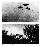 UFO, Flying saucers
1952, fifties, 50er, 50s, CIA, Top secret