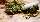 Fakten - Cannabis dominiert Drogenreport