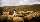 Tierschutz - Lamas als Herdenschutz