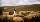 Tierschutz - Lamas als Herdenschutz