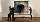 Letzte Generation: Aktivist beschüttet Klimt-Bild im Leopold-Museum in Wien