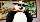 "Kung Fu Panda 4" wieder mit Hape Kerkeling im Kino