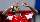 David Alaba im WM-Qualispiel gegen Kasachstan