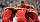 David Alaba und Kollegen jubeln im Spiel des FC Bayern München gegen Basel in der Champions League