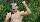 Patrick Nuo posiert mit nacktem Oberkörper im Dschungelcamp.