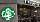 Starbucks Filiale in China