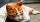 Fakten - Polizei ermittelt zu Katzensterben in Südfrankreich